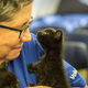 64 Lucky Shelter Animals Got Flown Out Of Texas After Hurricane Harvey